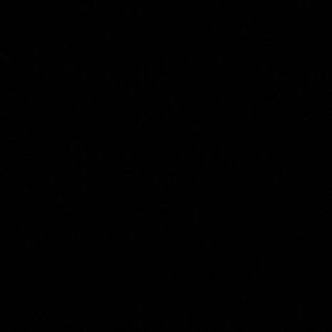 Meet your Posher, German